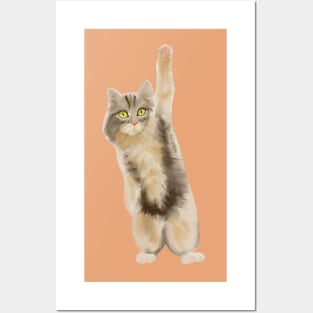 Cute cat with thé paw in the air Posters and Art